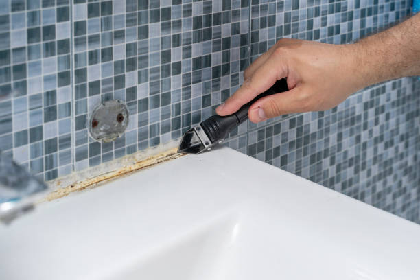 Best Fast Mold Removal  in Glen Carbon, IL